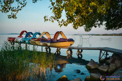 Camping Pelso foto 13