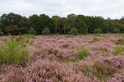 Buitenplaats Beekhuizen foto 17