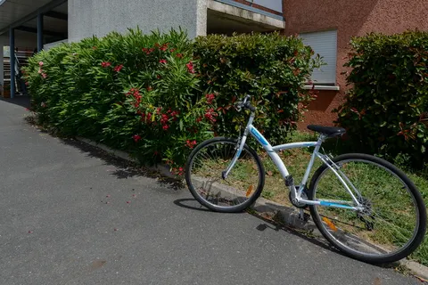 Vakantiepark Le Domaine Du Green foto 10