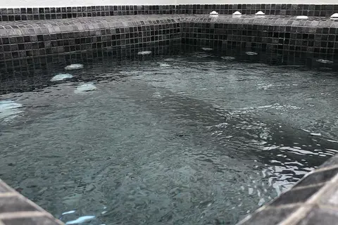 Dragonfly Villas in SUNFLOWER SANTORINI, foto 15