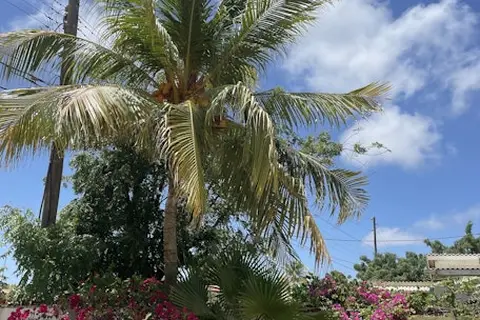Bonaire Fun Apartments in Kralendijk — foto 12