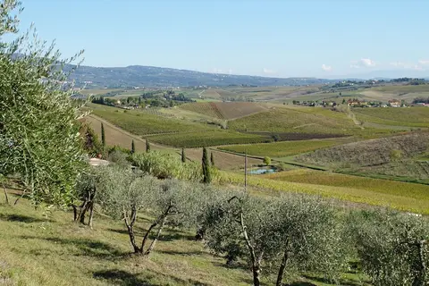 Agriturismo Isola Verde in Cerreto Guidi — foto 12