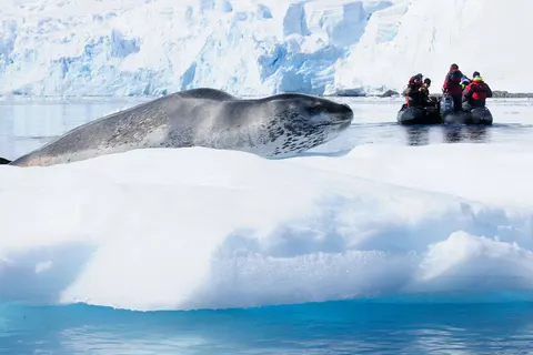 Expeditiecruise Antarctica per m/v Hondius in Cruisereizen — foto 7