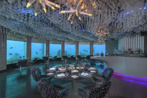 Niyama Private Islands Maldives in ކުޑަހުވަދޫ — foto 13