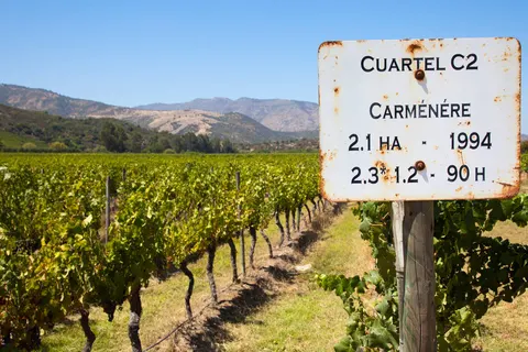 The Natural Wonders of Chile in Santiago — foto 3