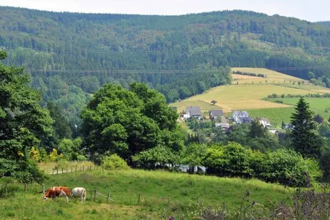 Hotel Niedersfeld-Winterberg foto 24