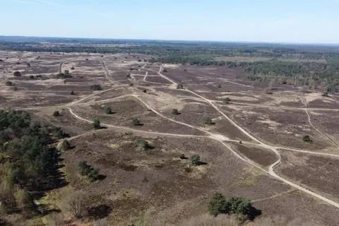 Heidepark Veluwschkarakter foto 12