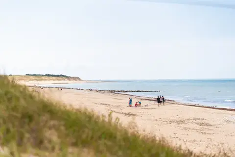 La Côte Sauvage in Saint-Clément-des-Baleines — foto 14