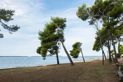 Pineta in Fažana — foto 13
