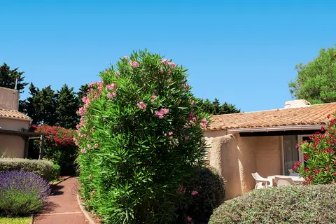 SOWELL HÔTELS Les Jardins du Cap in Agde, foto 12