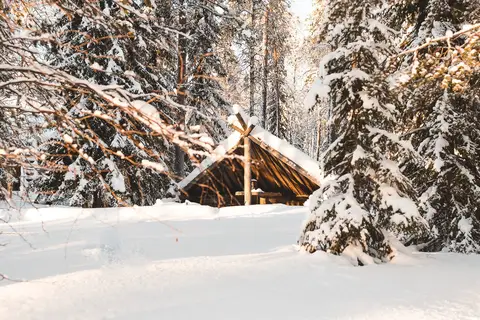 Vaattunki Wilderness Resort in Rovaniemi — foto 5