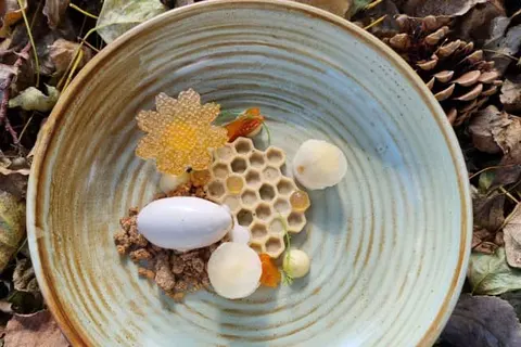 Havezathe Carpe Diem foto 10