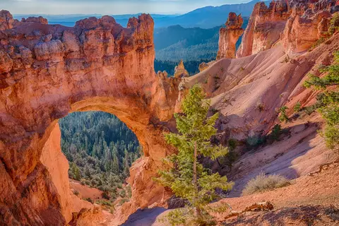 Western Highlights in West-Amerika, Californië, Nationale Parken en Las Vegas — foto 9
