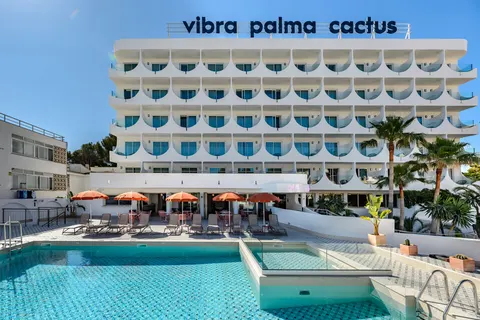 Vibra Palma Cactus foto 2