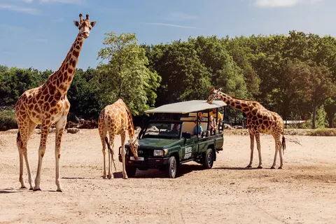 Lake Resort Beekse Bergen foto 1