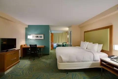 Springhill Suites By Marriott Orlando Lake Bu in Kissimmee — foto 4