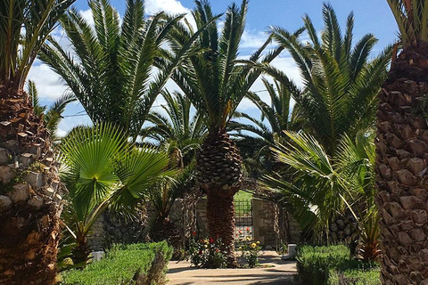 Hotel Cambiocavallo foto 27