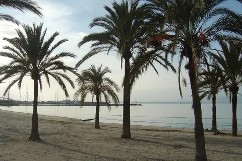 Hispania in Palma — foto 22