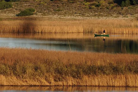 Wecamp Reserva Alecrim foto 25