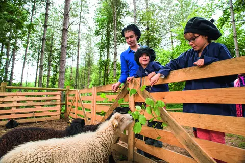 Center Parcs Le Bois Aux Daims in Morton — foto 21