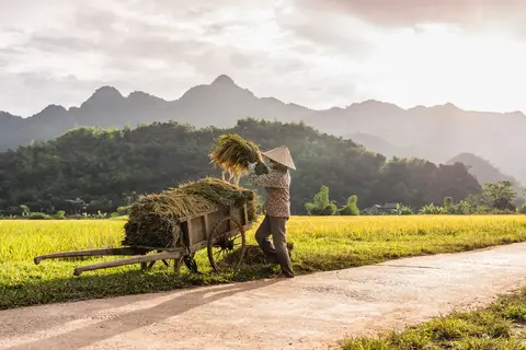 Traditioneel Vietnam in Vietnam