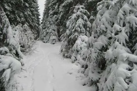 Hotel Restaurant Forsthaus Lahnquelle foto 10