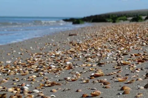 Hotel Café Restaurant De Kroon foto 27