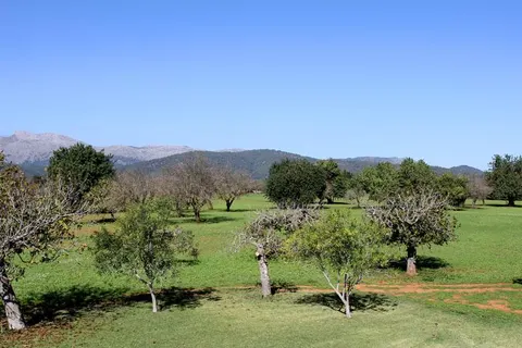 Agroturisme Son Pons in Búger — foto 10