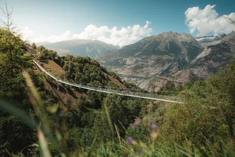 Camping Santa Monica foto 14