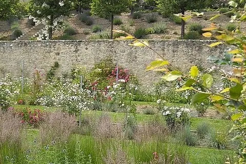 Camping Princes D Orange foto 16