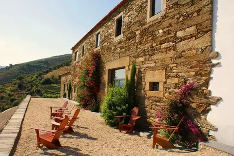 Quinta da Veiga in Sabrosa — foto 7