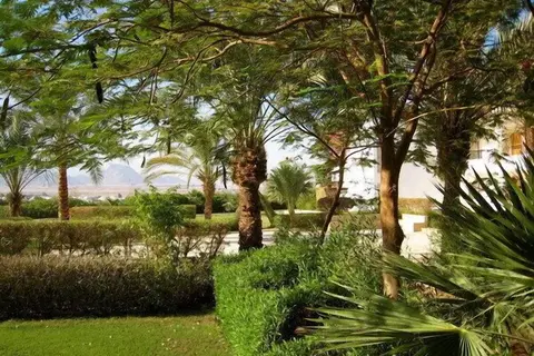 Eden Rock Hotel in Sharm El Sheikh — foto 22