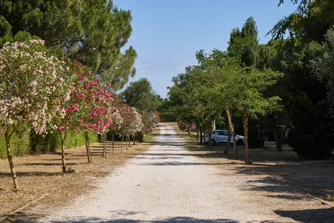 Camping Costa D Argento foto 24