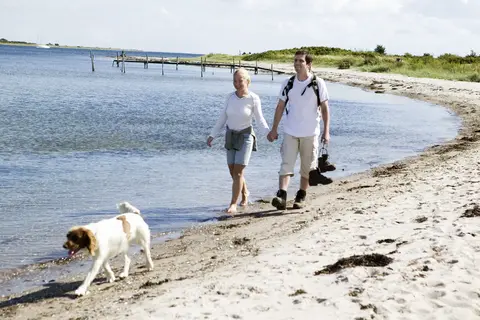 Ontdek Denemarken in Denemarken, Jutland en de Deense eilanden — foto 4