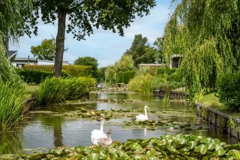 TopParken Park Westerkogge foto 15