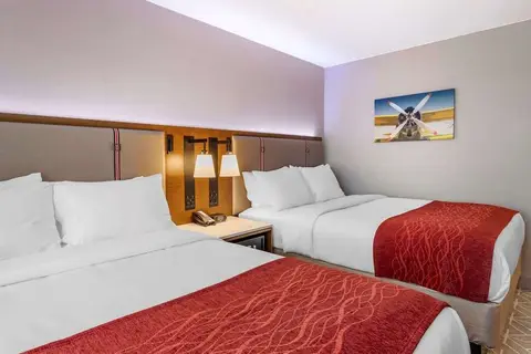 Comfort Inn JFK Airport in New York — foto 10