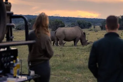 A Wildlife Adventure in South Africa foto 4