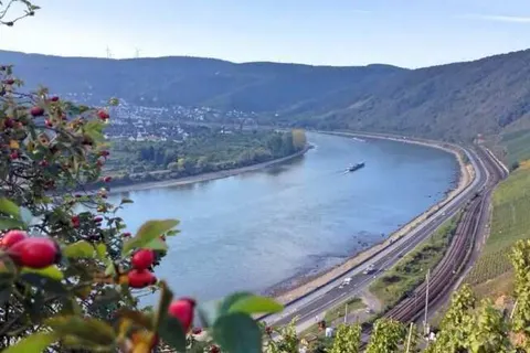 Hotel Rheinlust foto 22