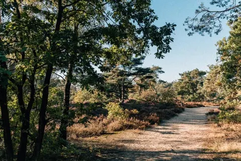 De Wever Lodge foto 26