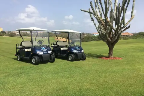 Blue Bay Golf & Beach Resort in Blue Bay reception — foto 9