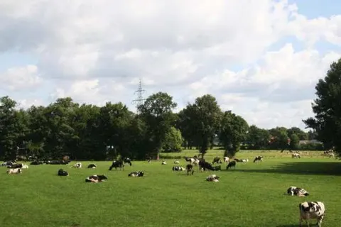 B&B Sagenland foto 5