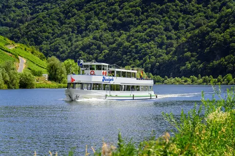 Moselromantik Hotel am Panoramabogen in Cochem — foto 45