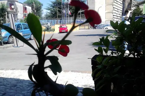 Hotel Federico Ii in Napels — foto 22
