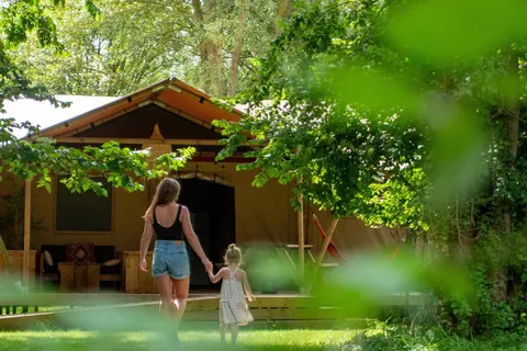 Ecolodges de Dreef foto 3