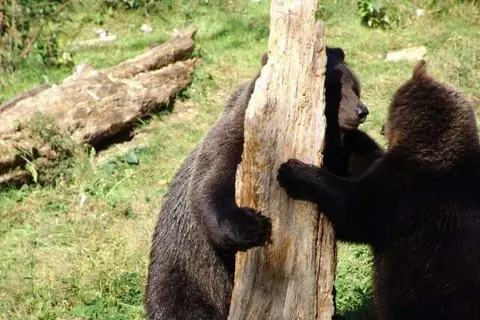 Hotel Landgasthof Hohenauer Hof foto 22