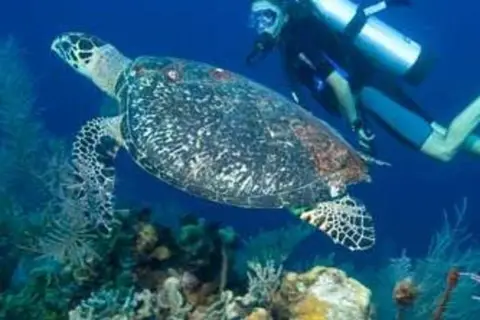 Puri Bagus Lovina in Buleleng — foto 21