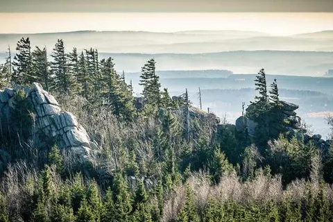 Trans World Hotel Auefeld foto 17