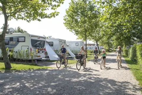 Camping De Molenhoek foto 12