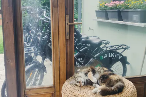 Caravelle Camping Village foto 10