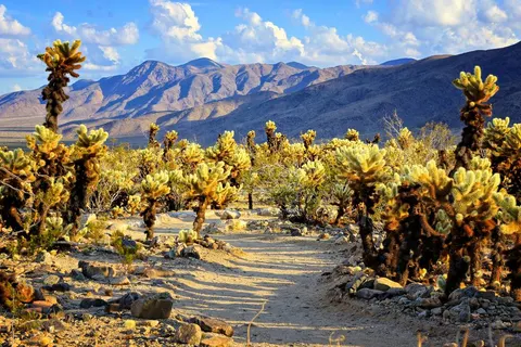 2 weeks in Western USA foto 3